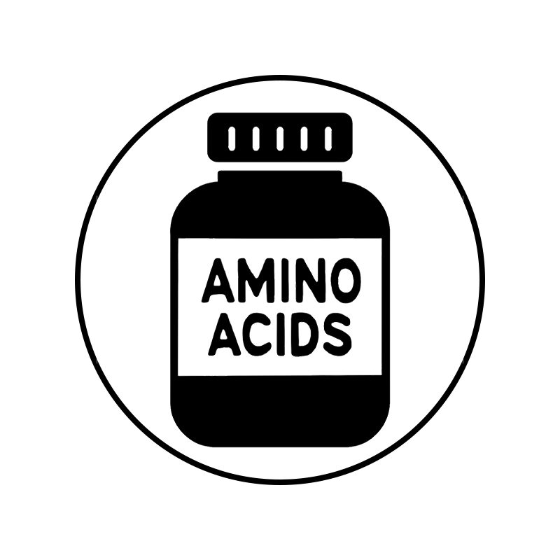 آمینو اسید