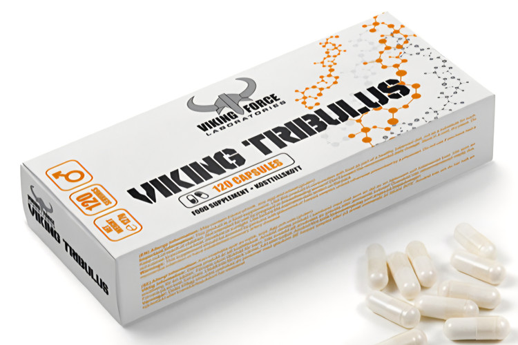 کپسول L-Tribulus وایکینگ فورس 120 Capsules افزایش تستوسترون و انرژی - ای اس دی ناتریشن